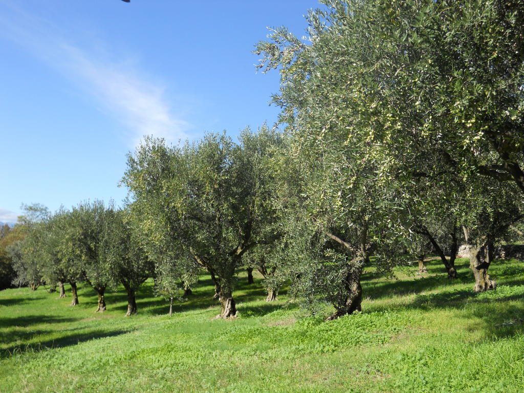 B&B Ca' Morino Verona Exterior photo