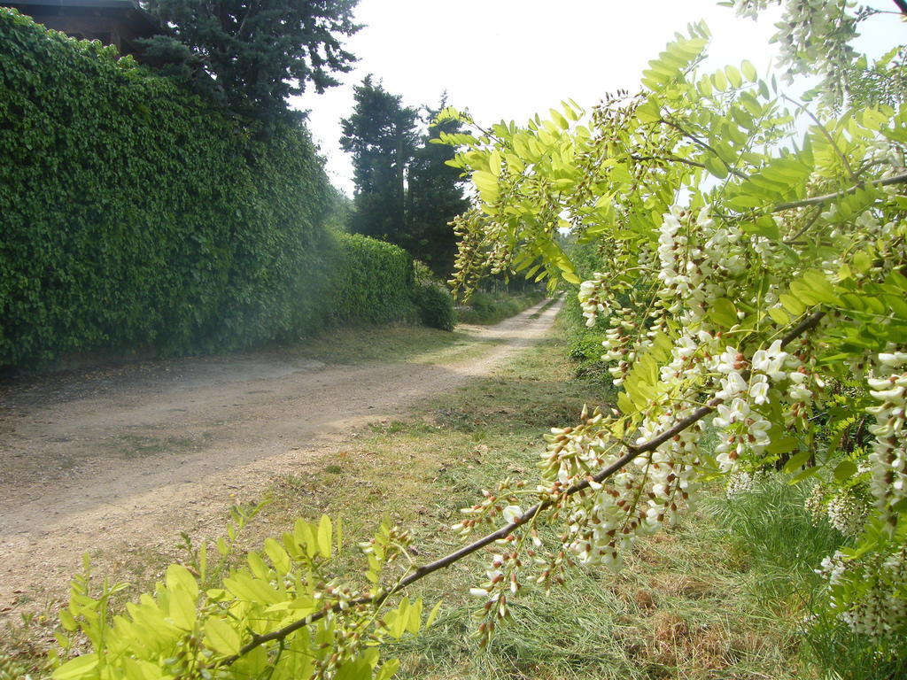 B&B Ca' Morino Verona Exterior photo